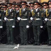 Омских сержантов обучат по заказу Минобороны РФ